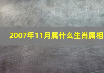 2007年11月属什么生肖属相