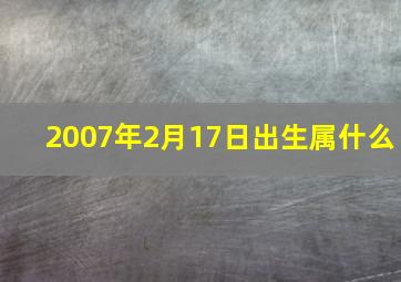 2007年2月17日出生属什么