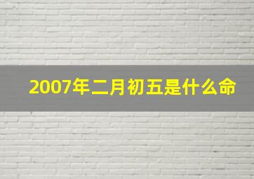 2007年二月初五是什么命