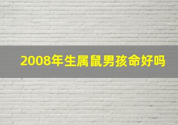 2008年生属鼠男孩命好吗