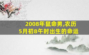 2008年鼠命男,农历5月初8午时出生的命运