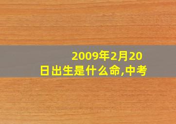 2009年2月20日出生是什么命,中考