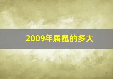 2009年属鼠的多大