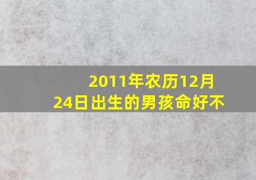 2011年农历12月24日出生的男孩命好不