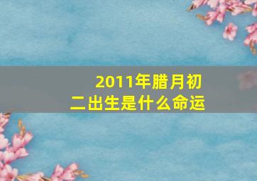 2011年腊月初二出生是什么命运