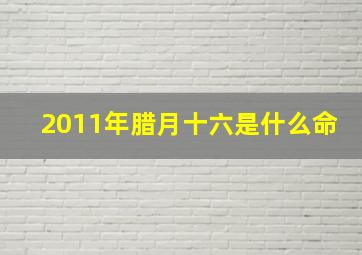 2011年腊月十六是什么命