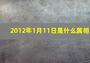 2012年1月11日是什么属相