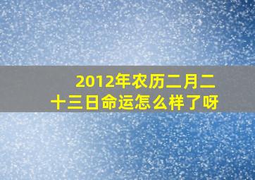 2012年农历二月二十三日命运怎么样了呀