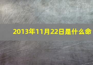 2013年11月22日是什么命