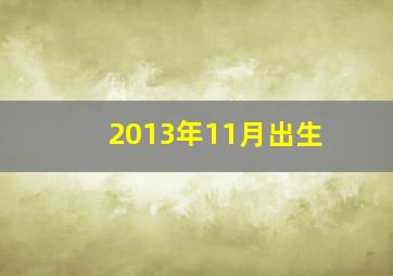 2013年11月出生