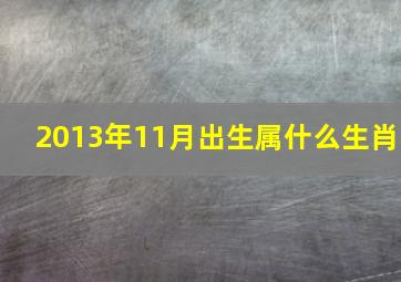 2013年11月出生属什么生肖