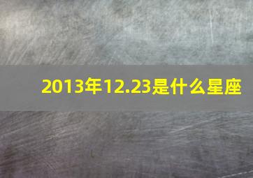 2013年12.23是什么星座