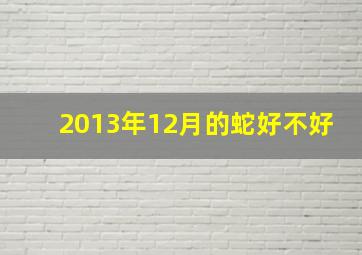 2013年12月的蛇好不好