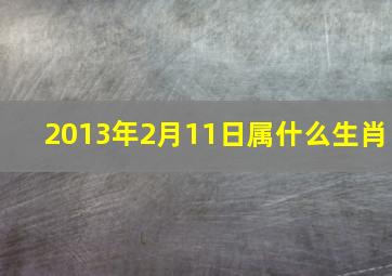 2013年2月11日属什么生肖