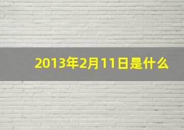 2013年2月11日是什么