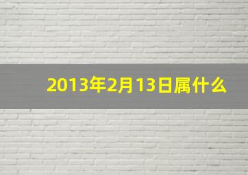 2013年2月13日属什么