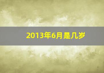 2013年6月是几岁