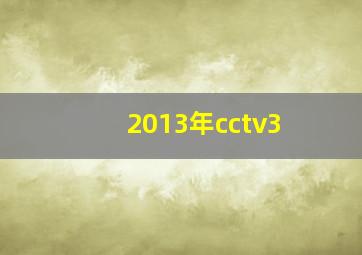 2013年cctv3