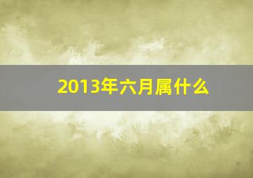 2013年六月属什么