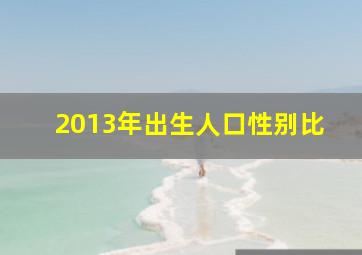 2013年出生人口性别比