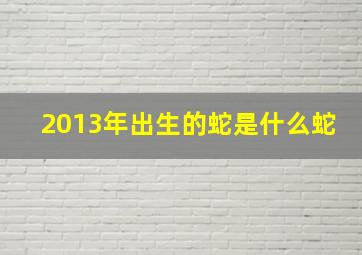 2013年出生的蛇是什么蛇