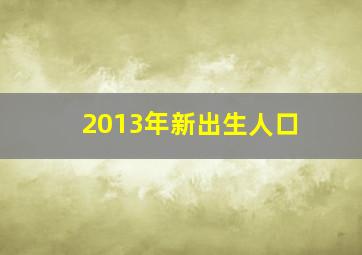 2013年新出生人口