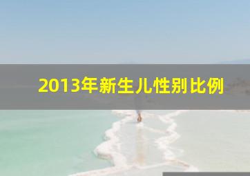 2013年新生儿性别比例