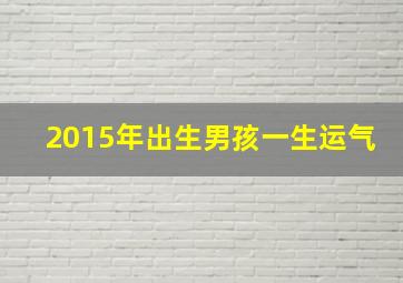 2015年出生男孩一生运气