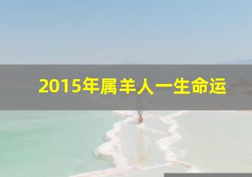 2015年属羊人一生命运