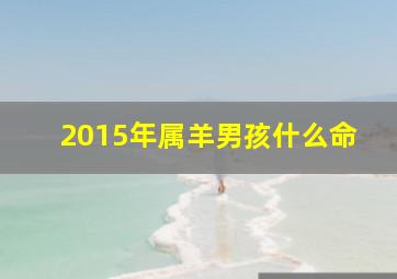 2015年属羊男孩什么命