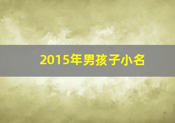 2015年男孩子小名