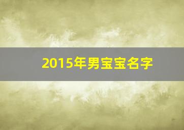 2015年男宝宝名字