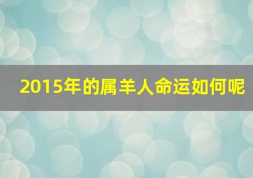 2015年的属羊人命运如何呢