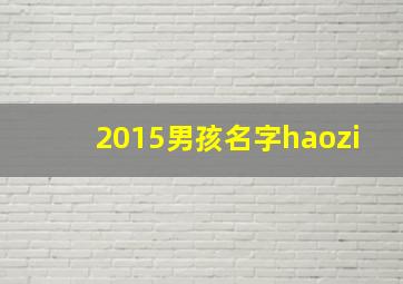 2015男孩名字haozi