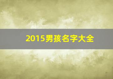 2015男孩名字大全