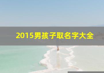 2015男孩子取名字大全