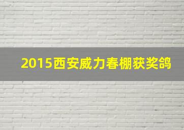 2015西安威力春棚获奖鸽