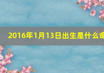 2016年1月13日出生是什么命