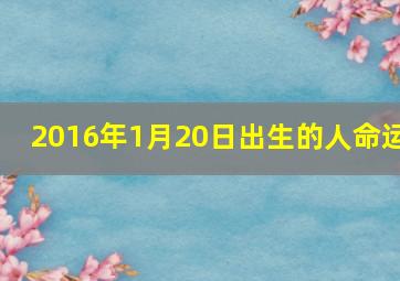 2016年1月20日出生的人命运