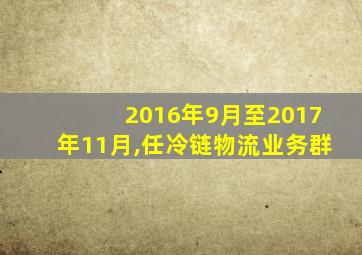 2016年9月至2017年11月,任冷链物流业务群