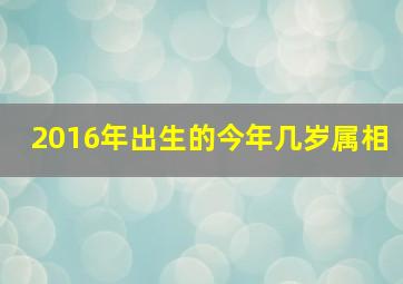 2016年出生的今年几岁属相