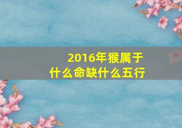 2016年猴属于什么命缺什么五行