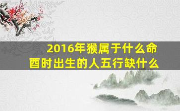 2016年猴属于什么命酉时出生的人五行缺什么