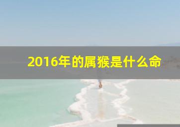 2016年的属猴是什么命