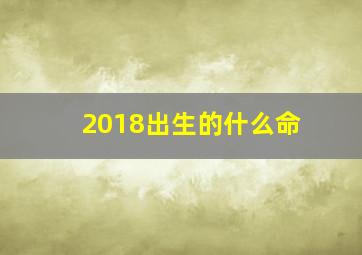 2018出生的什么命