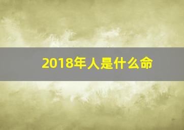 2018年人是什么命