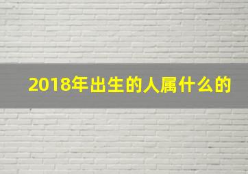 2018年出生的人属什么的