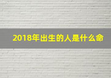 2018年出生的人是什么命