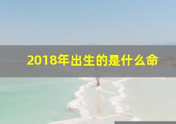 2018年出生的是什么命