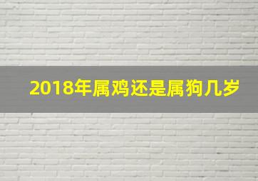 2018年属鸡还是属狗几岁